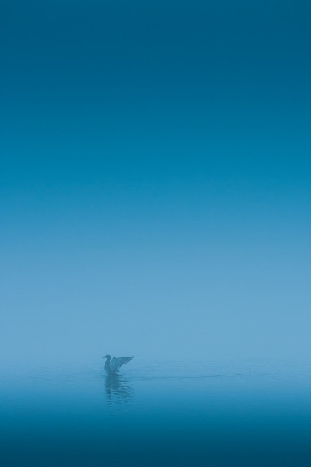 http://n.sinaimg.cn/front/w710h798/20180311/c-TJ-fxpwyhx0861375.jpg?zdy